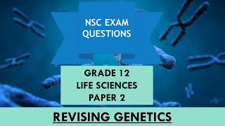 Revising Genetics amp Inheritance  Grade 12  Paper 2  NSC Exam Prep [upl. by Nevarc]