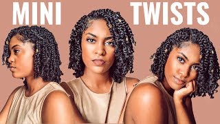 PROTECTIVE STYLE  MINI TWISTS on WET NATURAL HAIR  HOW TO [upl. by Tor808]