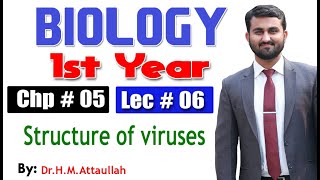 Structure of viruses  Chapter 5  1st year Biology  Lec  6 [upl. by Enovahs]