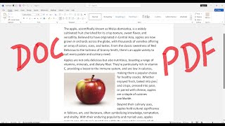 Doc to PDF Convert [upl. by Nevart292]