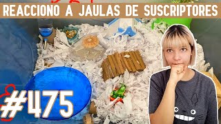 REACCIONO a JAULAS para HAMSTER de SUSCRIPTORES [upl. by Nyleahcim]