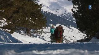 4 façons originales de glisser sur la neige le traîneau à cheval volet 3 [upl. by Lupien878]