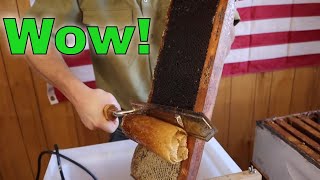 🐝Best Uncapping Hot Knife for Honey [upl. by Ainotna173]