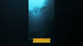 Where is the Mariana Trench mindblowingfacts oceanexploration oceanmysteries [upl. by Nessi]