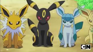 Eevee Evolutions  different possible evolutions fo Eevee  Elite pokemon [upl. by Rurik108]