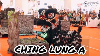 CHING LUNG A 🥈  FESTIVAL BARONGSAI SEMARANG 2023 [upl. by Egroj]