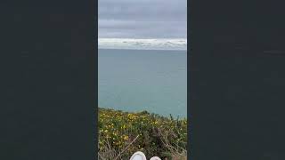 Howth Cliff walk howth cliff walk viral like follow [upl. by Reyna]