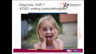 Urowebinar Vesicoureteral reflux to treat or not to treat [upl. by Ecirtak923]