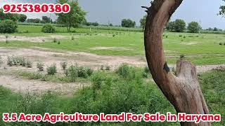 17 bigha agriculture land for sale in haryana  9255380380  sale [upl. by Hussar]