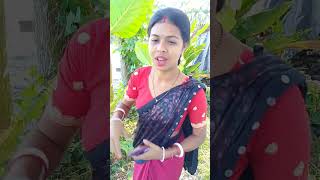 Sila vabi preme poreche geche funny comedy shorts [upl. by Ahcsas27]