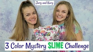 3 Color Mystery Slime Challenge  Jacy and Kacy [upl. by Eelra]