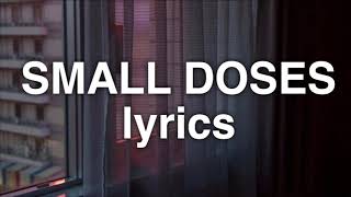 Bebe Rexha  Small Doses Lyrics [upl. by Niarda]