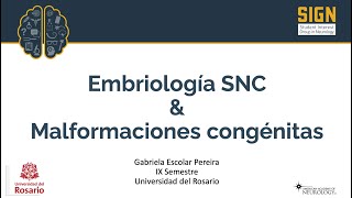 Embriología del SNC y malformaciones congénitas [upl. by Lleruj]