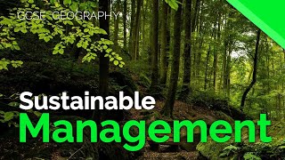 Sustainable Management of Tropical Rainforests  AQA GCSE 91 Geography [upl. by Milli]