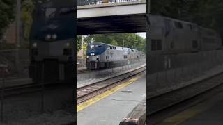 Amtrak Lakeshore Limited 449 in Wellesley Square MA shorts amtrak [upl. by Thomsen]