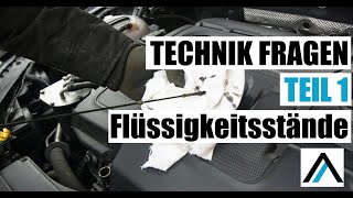 Abfahrtkontrolle in der praktischen Prüfung Klasse B  Technik Fragen  Teil 1  Flüssigkeitsstände [upl. by Arikahc]