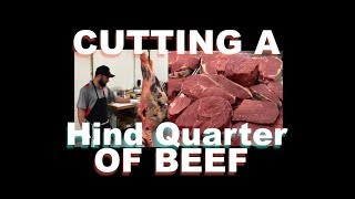 Cutting a Hind Quarter Of Beef at Knutzens Meats [upl. by Shepley377]