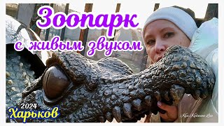 🦩 ХАРЬКОВ  ЗООПАРК С ЖИВЫМ ЗВУКОМ  KHARKIV  ZOO WITH LIVE SOUND Харьковскийзоопарк Kharkivzoo [upl. by Franciskus]