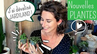 HAUL PLANTES Jardinerie  6 ACHATS dont 1 plante de ma WISH LIST  💚 [upl. by Villada378]