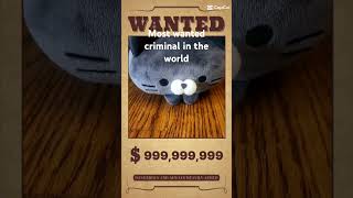 Most wanted criminal [upl. by Akimad339]