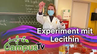 Experiment mit Lecithin  CampusTV [upl. by Gregor]