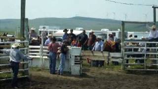 Sarcee Rodeo Bullfighter Bulldogger Bullrider KJ [upl. by Rehpotsihrc]