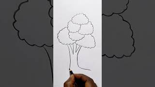 how to draw tree drawing easy step by stepDrawingTalent [upl. by Ripley]