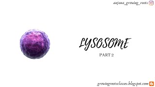 Functions Of Lysosomes  Malayalam  Heterophagy  Autophagy  Autolysis  Degree  NEET Biology [upl. by Fast44]