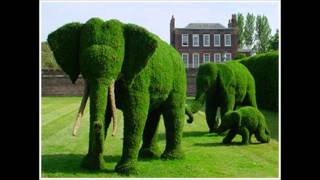 Topiary  the art of shaping trees amp shrubs into art forms  courtesy of Pinterest [upl. by Primrosa]