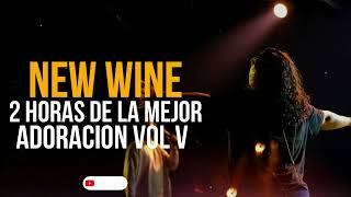 NEW WINE  2 horas de la mejor adoración Para buscar a DIOS 🔥😭 Volumen V [upl. by Eilatan]