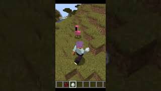 I created a flamingo in Minecraft minecraft modded [upl. by Ahsercul]