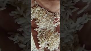 Steam Laxmi rice waraseoni [upl. by Spiro]