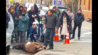 Martin Scorsese filming The Irishman with Robert De Niro in Ridgewood New York [upl. by Oned]