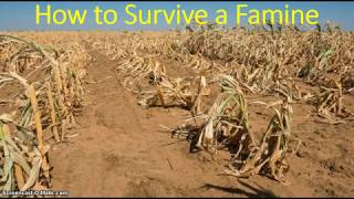 How to Survive a Famine [upl. by Allsun]