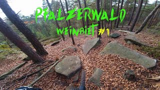 Pfälzerwald Trails im geilsten Wald Deutschlands Part 1 [upl. by Brianna]