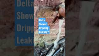 Delta Shower LeakingDripping TappPlumbing shorts Plumbing [upl. by Nwahsiek532]