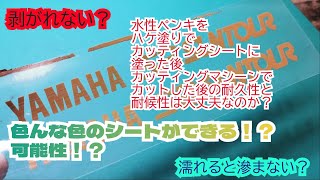 水性塗料をカッティングシートに塗ってカットした後の耐久性と耐候性 [upl. by Banyaz]