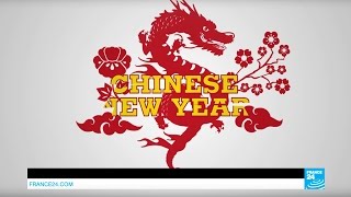 Chinese Lunar New Year What does the Year of the Rooster mean [upl. by Anem]