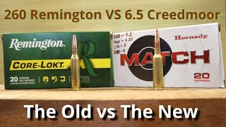 260 Remington vs 6 5 Creedmoor Is The Old vs The New [upl. by Ymac]