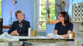 Les produits anti acariens sont ils efficaces   La Quotidienne [upl. by Eelrak768]