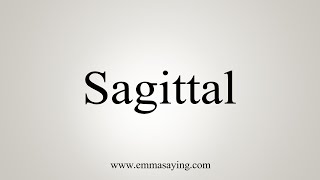 How To Say Sagittal [upl. by Ailasor]