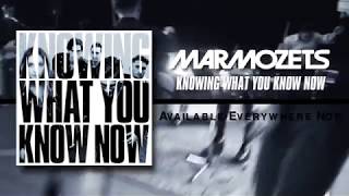 Marmozets Knowing What You Know Now  Track by Track Part 1 [upl. by Goldshlag]