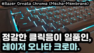 【ASMR】 강렬한 메카 멤브레인 키보드 타이핑 소리ㅣ레이저 오나타 크로마ㅣ청축형 멤브레인ㅣ공부 수면 팅글 ASMRㅣ2시간ㅣ중간광고 없음ㅣNo Talking [upl. by Nylarat]