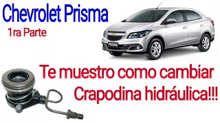 Te muestro como cambiar crapodina hidráulica chevrolet prisma [upl. by Coe]