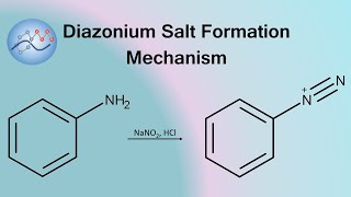 Diazonium Salt Formation Mechanism  Organic Chemistry [upl. by Notlrac391]