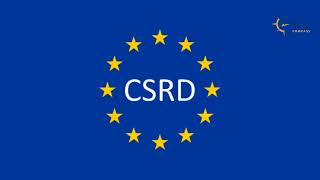 The implications of European Sustainability Reporting Standards esrs for businesses [upl. by Ferriter]