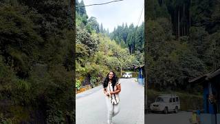 Dancing on Darjeeling roads 🤩  nature darjeeling pralitalks trendingshorts travel telugu [upl. by Siloa]