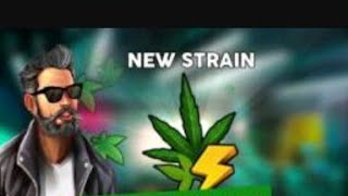 Hempire weed growing game new strains [upl. by Dranoc]