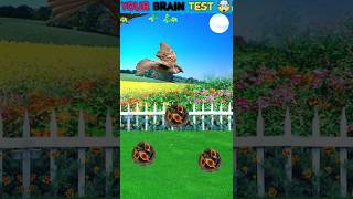 🤯Nest Focus Test braintest iqtest focustest cricket live eyetest eyefocus cartoon short [upl. by Akihsay]