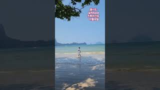 팔라완 엘니도 해상전 관광 가능 날씨좋아요 엘니도 엘니도투어 elnido Palawan 팔라완여행 팔라완 [upl. by Letsyrc]